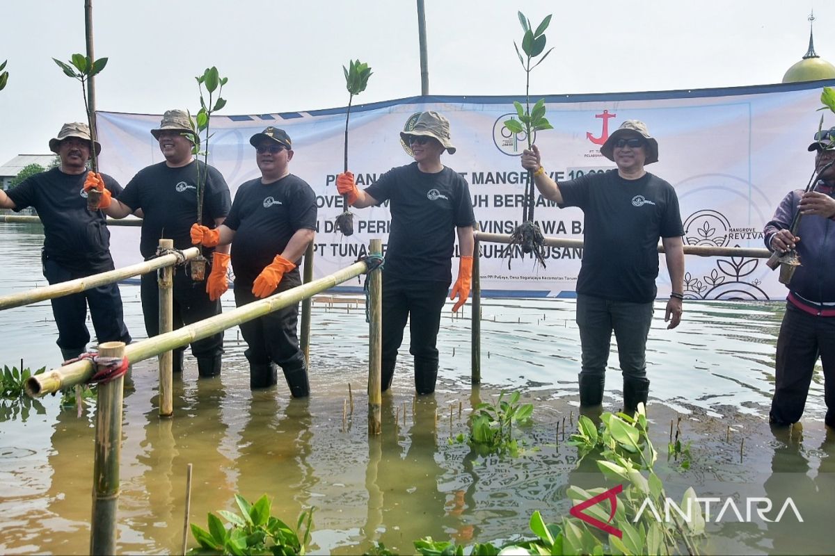 Pemprov Jabar tanam bakau pengganti pelabuhan di Bekasi