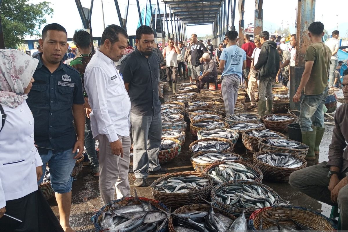 DKP catat tangkapan ikan di PPS Kutaraja Banda Aceh capai 100 ton per hari