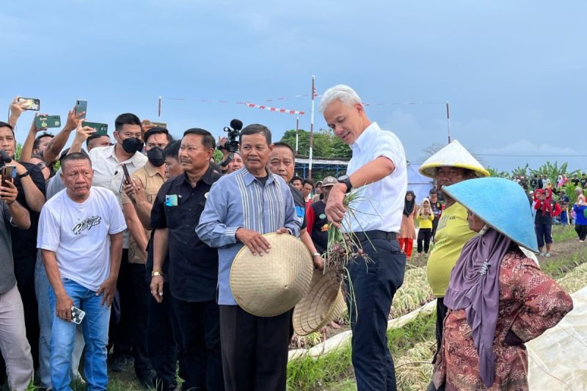 Ganjar sebut pasar induk bawang dibutuhkan jelang musim panen