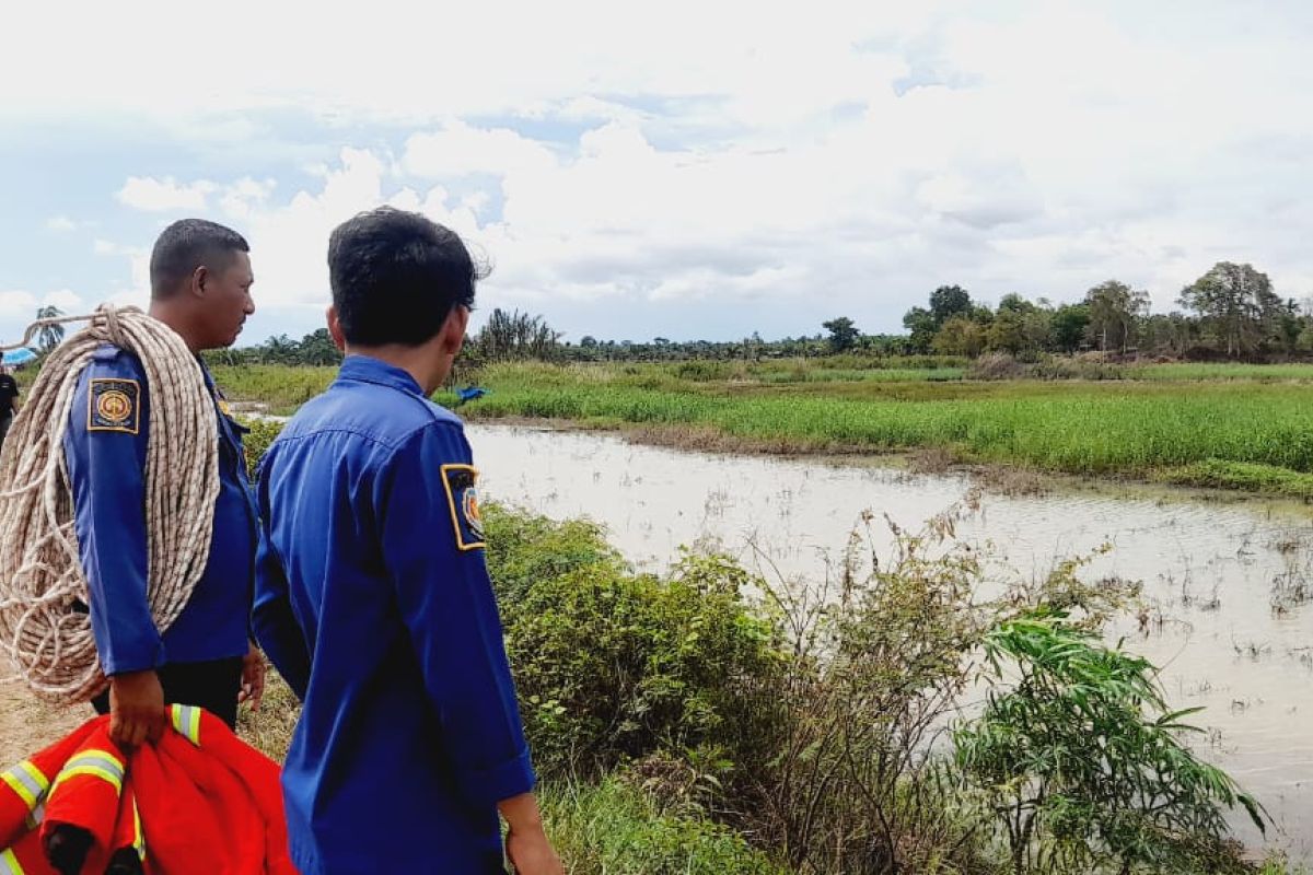 Petugas Damkarmat cari buaya yang serang warga di Lampung Selatan