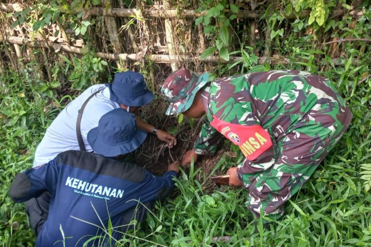 TNI ajak warga tanam pohon di kawasan hutan Lombok Tengah NTB