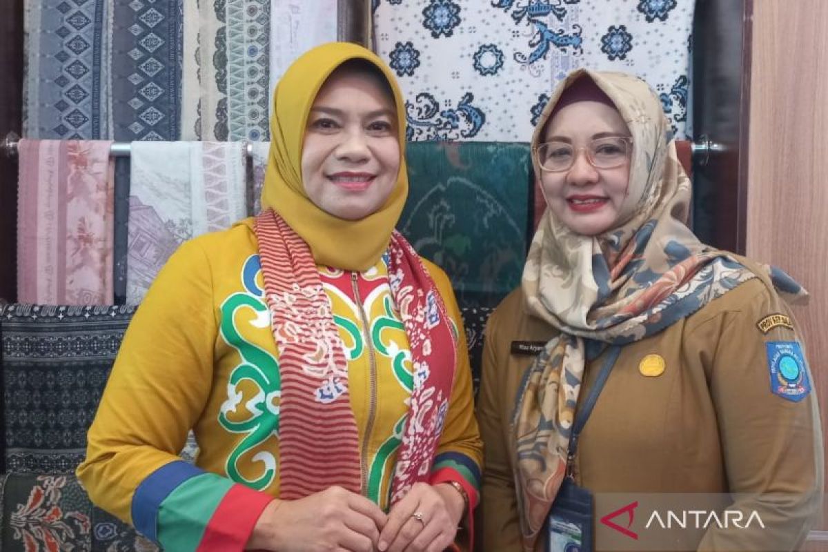 Dekranasda Bangka Belitung dorong perajin kembangkan desain cual