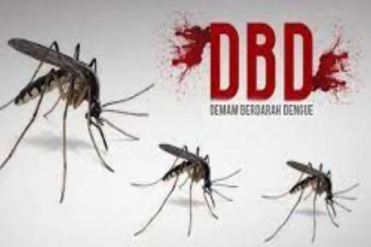 Министерство сотрудничает с частными агентствами для достижения нулевой смертности от лихорадки денге.
