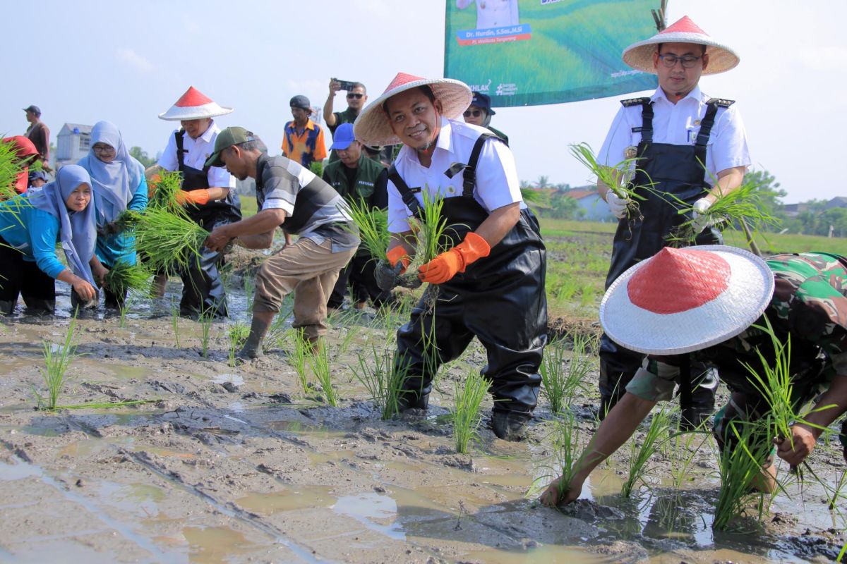 Pj Wali Kota Tangerang minta camat kembangkan kelompok wanita tani