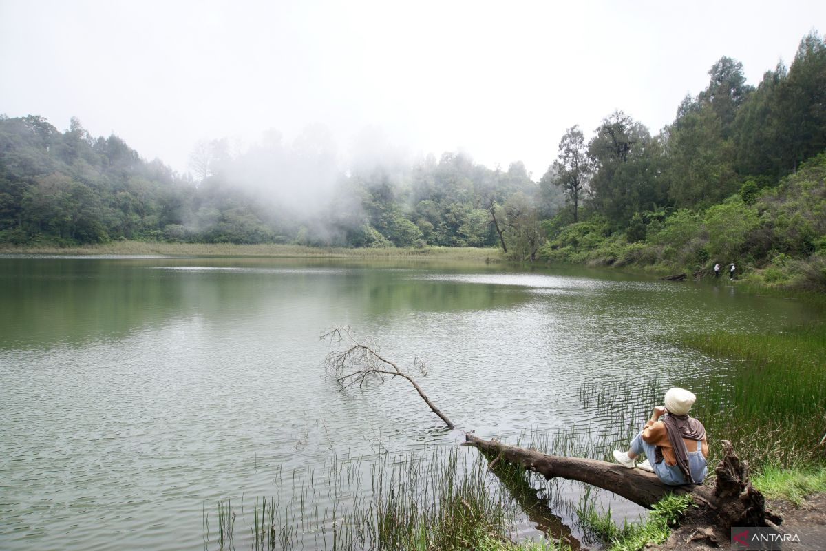 TNBTS buka kawasan Ranu Regulo untuk wisatawan