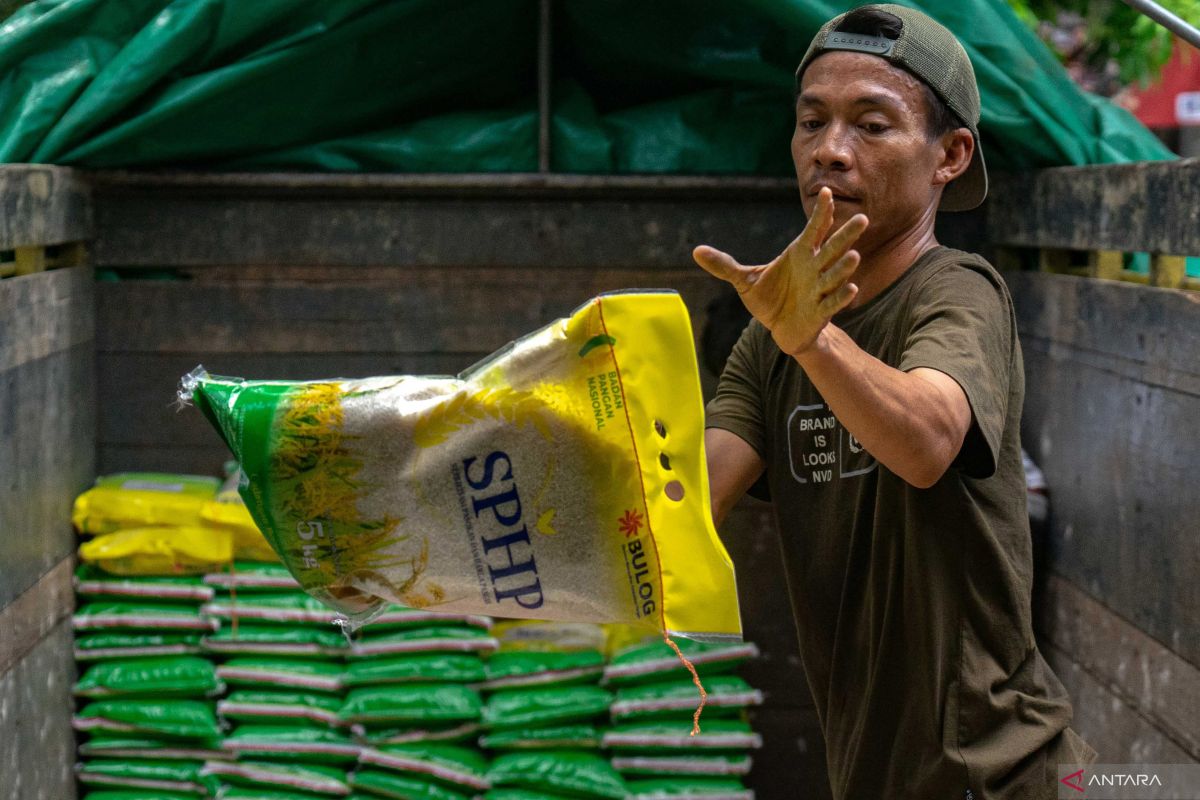 Bapanas sebut bantuan beras telah dilakukan jauh hari sebelum pemilu