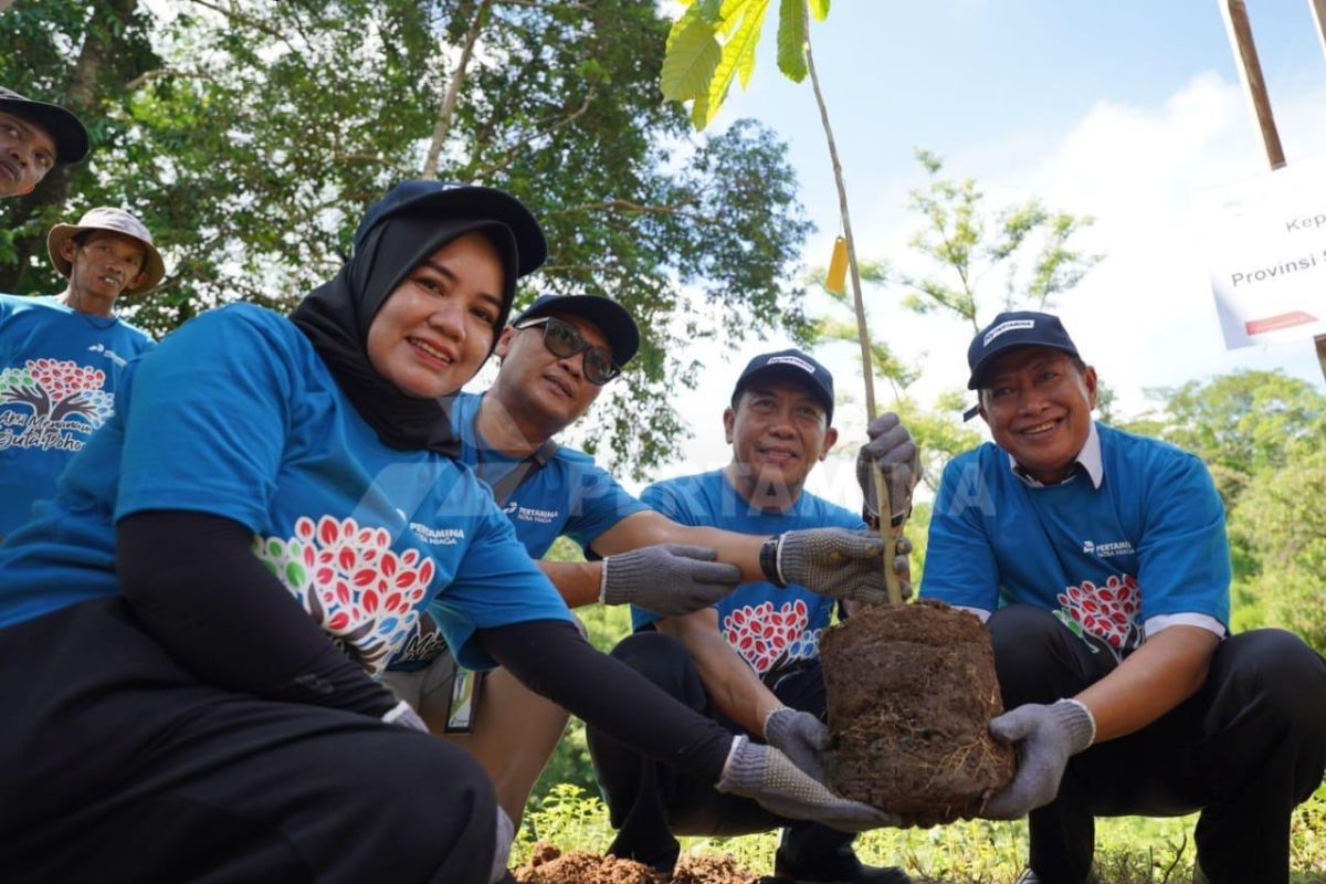 Program Hutan Pertamina laksanakan 104 kegiatan penanaman mangrove dan pohon