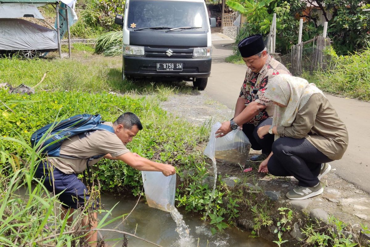 Diskan Sukabumi lepasliarkan ribuan benih ikan nilem di DAS Cimaja
