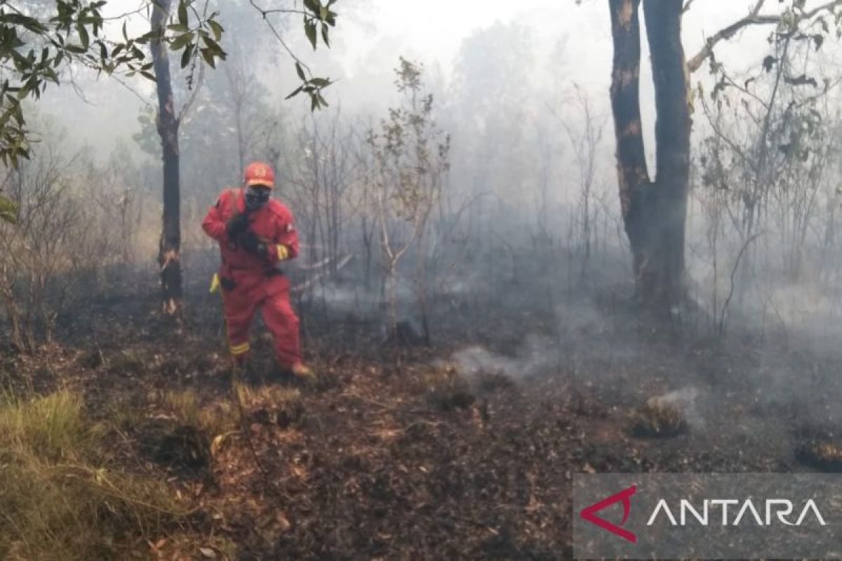 BPBD Belitung tangani 279 kejadian kebakaran sepanjang 2023