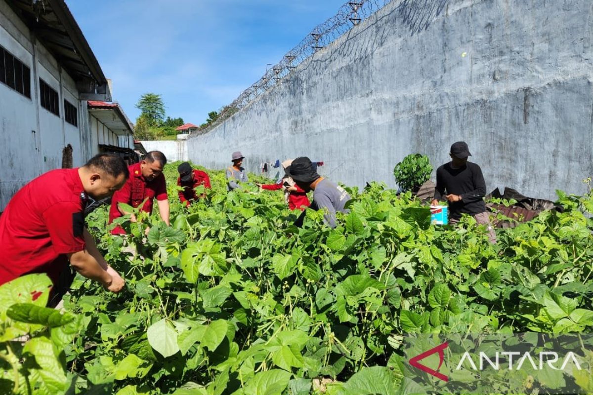 Lapas Pohuwato jalankan program kemandirian WBP bidang pertanian