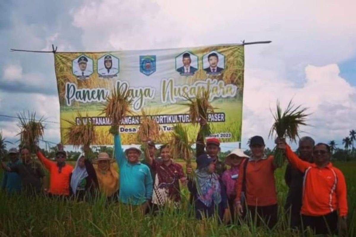 Pemkab Paser salurkan bantuan benih padi untuk lahan 5.000 Hektar