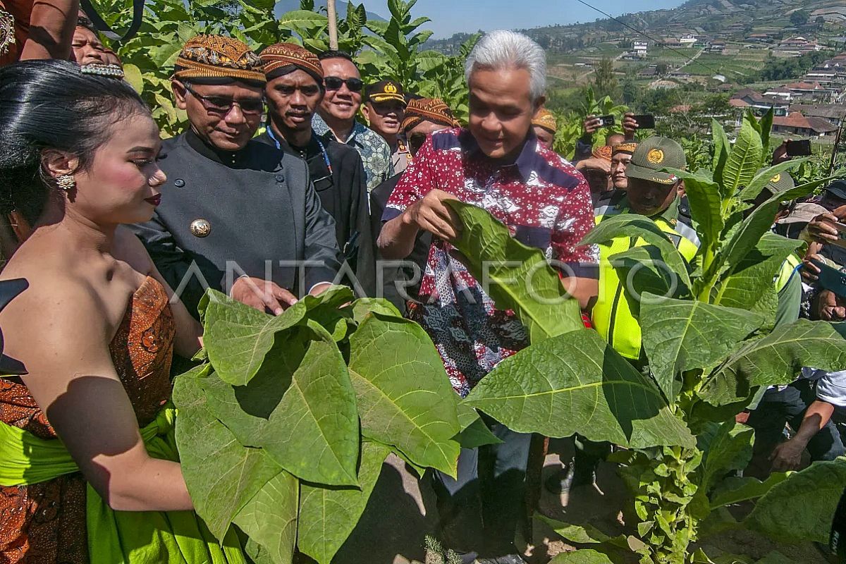 Capres Ganjar: Harus modernisasi pertanian agar terwujud kemandirian pangan