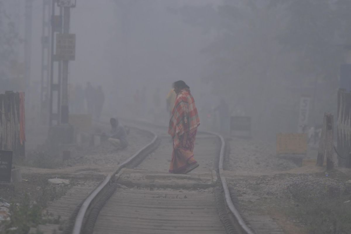 Album Asia: Kabut tebal selimuti India saat gelombang dingin menerpa