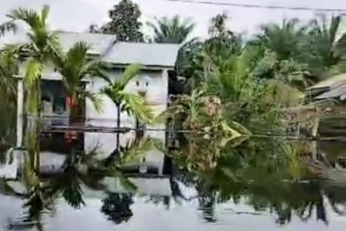 Akses ke Desa Sungai Linau Bengkalis terputus, 600 jiwa mengungsi akibat banjir