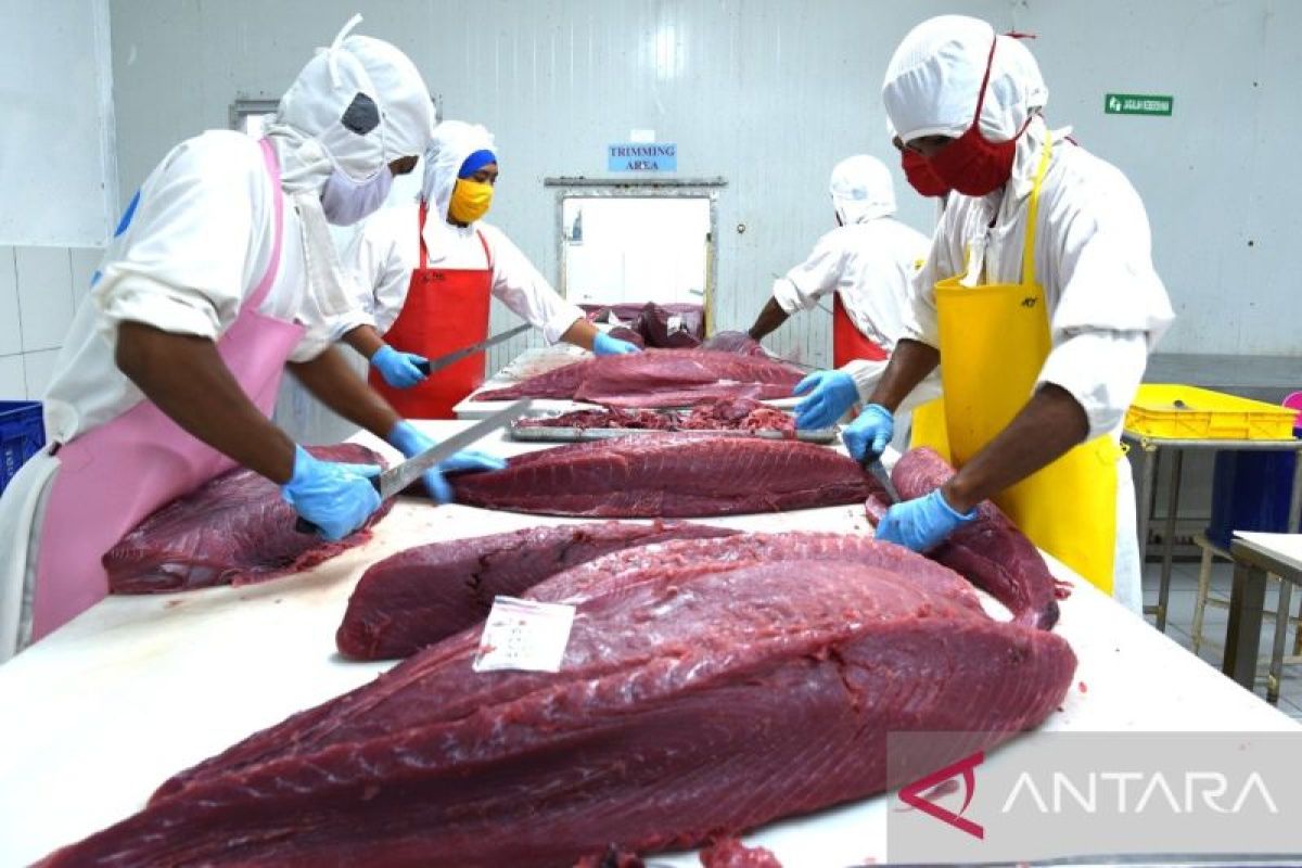 Indonesia-Jepang sepakati pos tarif ekspor nol persen produk perikanan tuna