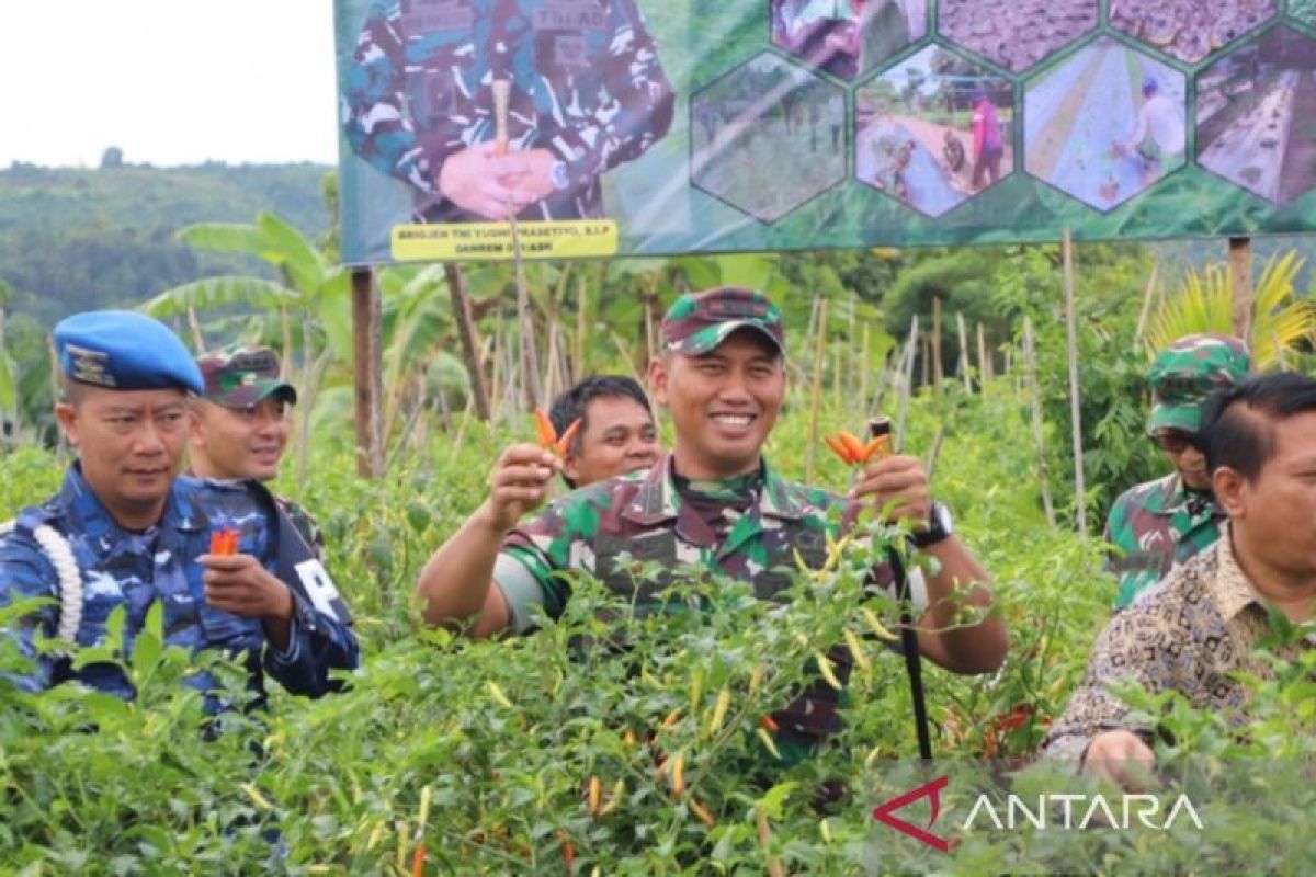 Kodim 0901/ Samarinda kampanyekan tanam cabai demi ketahanan pangan