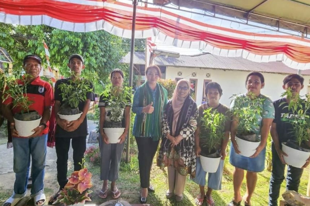 Pj Wali Kota Ambon minta perangkat desa tanam cabai di lahan kantor desa