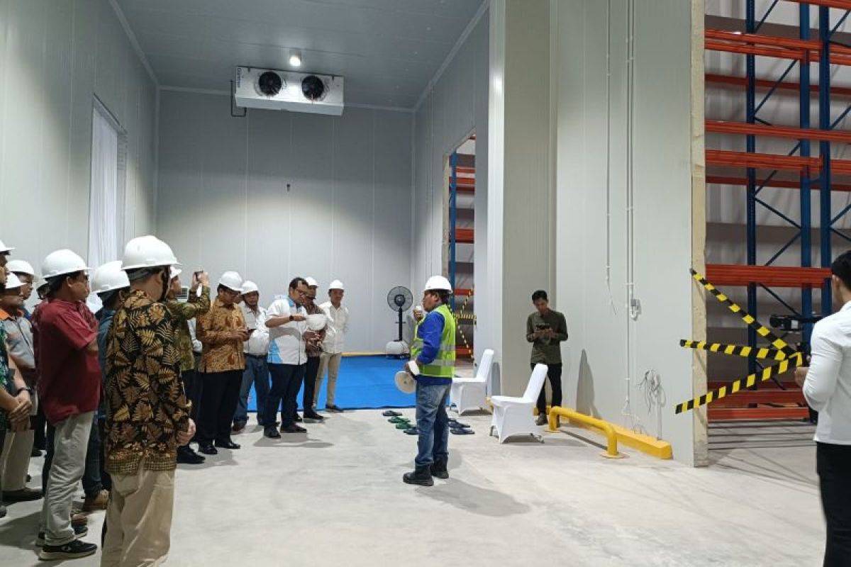 MGM Bosco Logistics buka gudang pendingin di Palembang