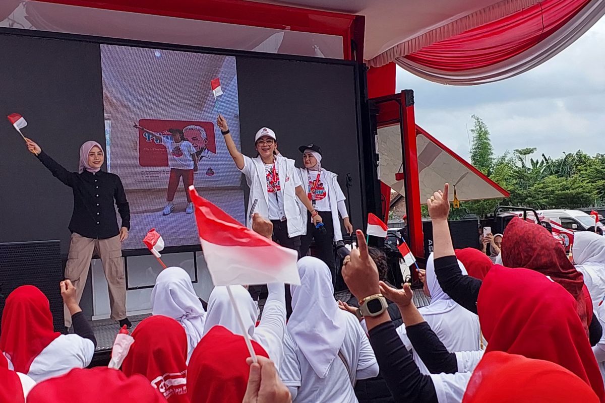 Istri Ganjar bicara pentingnya revitalisasi posyandu di Palembang