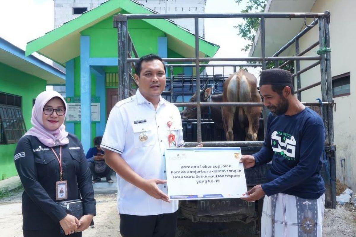 UPZ Bank Kalsel sumbang sapi untuk jamaah Haul Guru Sekumpul