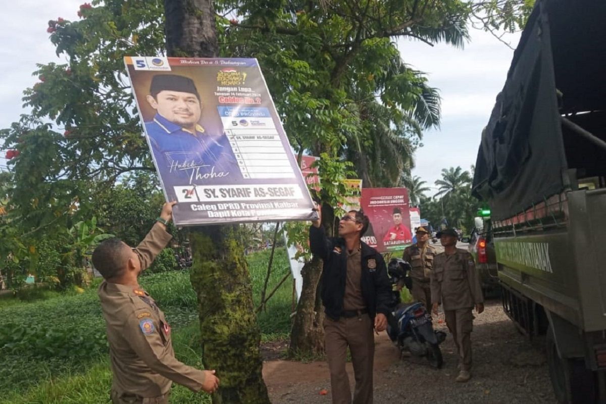 Satpol PP Kota Pontianak tertibkan 400 baliho caleg yang dipasang di pohon