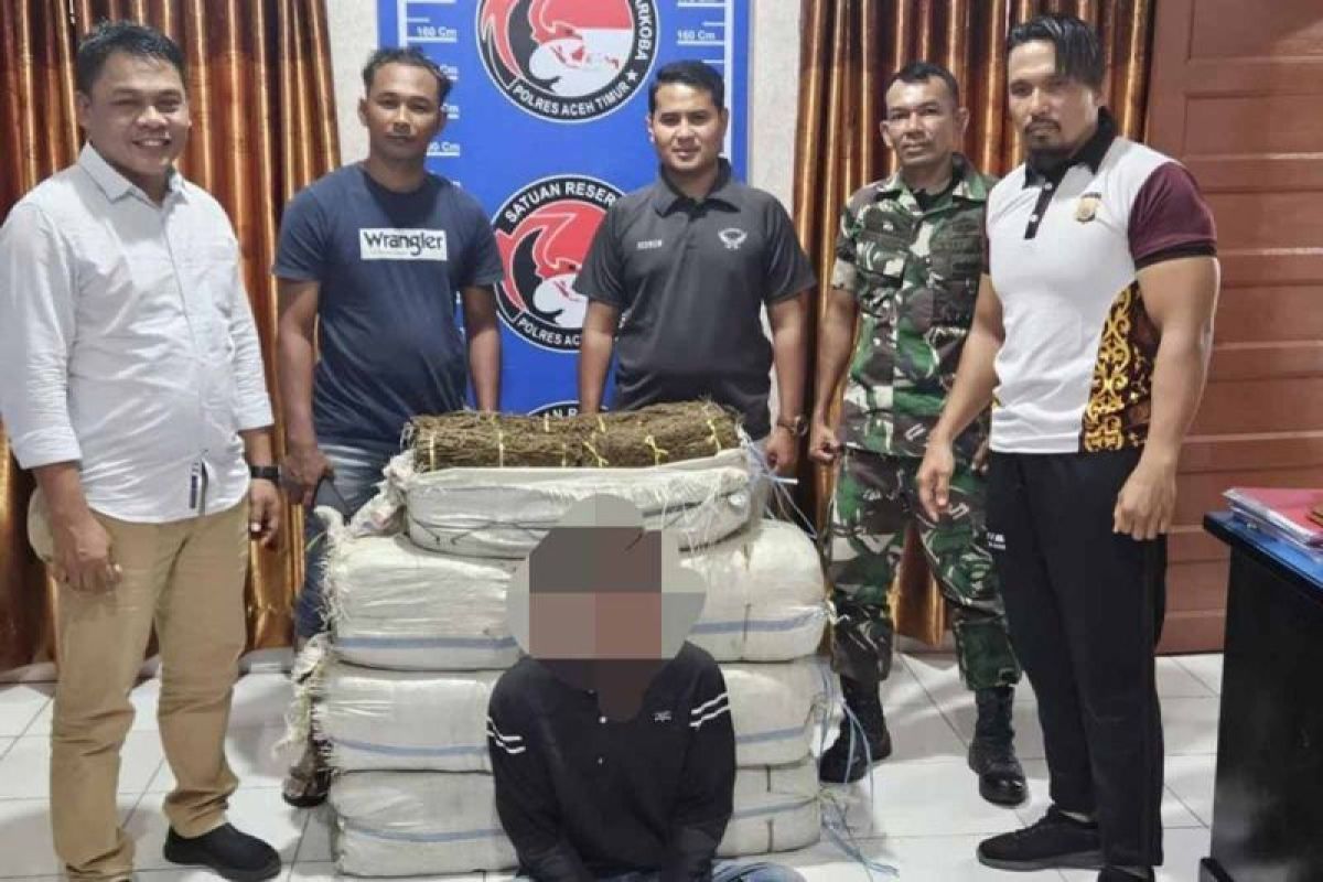 TNI gagalkan penyeludupan 75 kilogram ganja di Aceh Timur