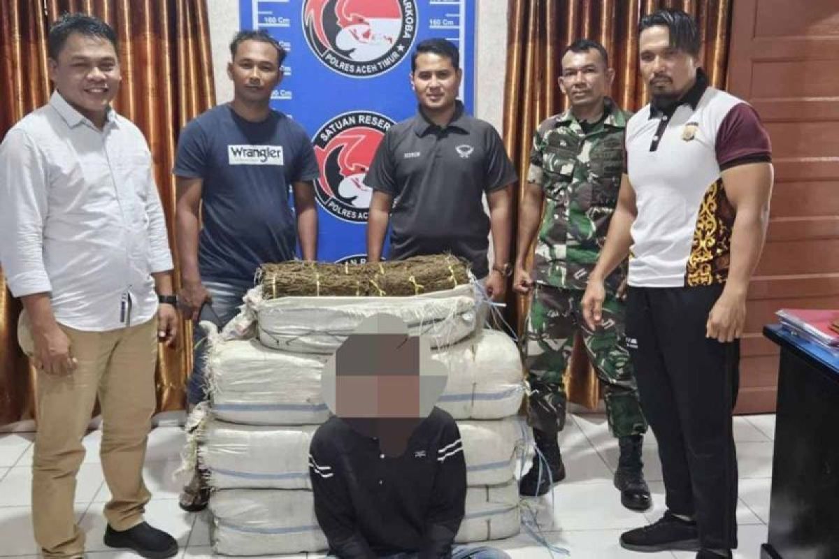 TNI gagalkan penyeludupan 75 Kg ganja di Aceh Timur