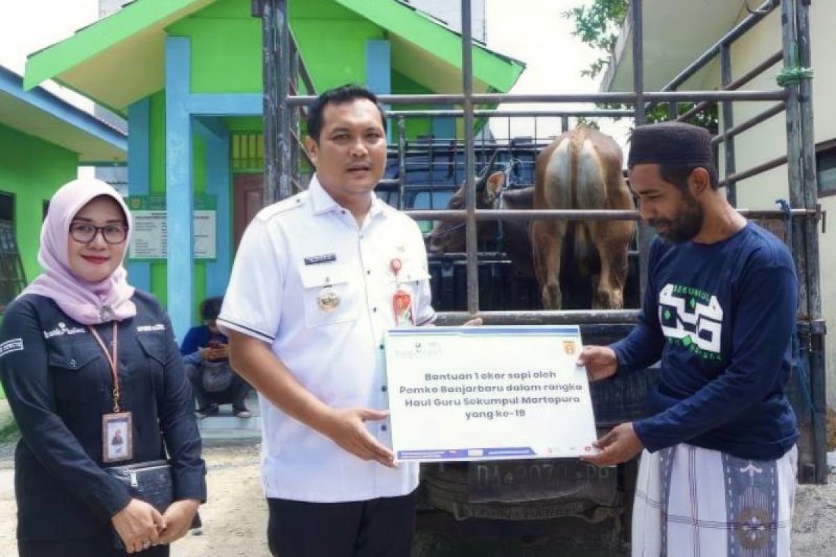 Bank Kalsel sumbang sapi untuk jamaah Haul Guru Sekumpul