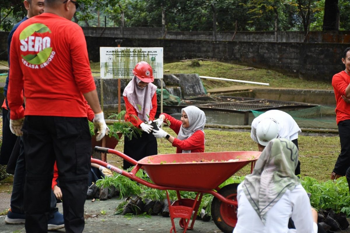 Manajemen dan karyawan Semen Padang lakukan SERO di area konservasi