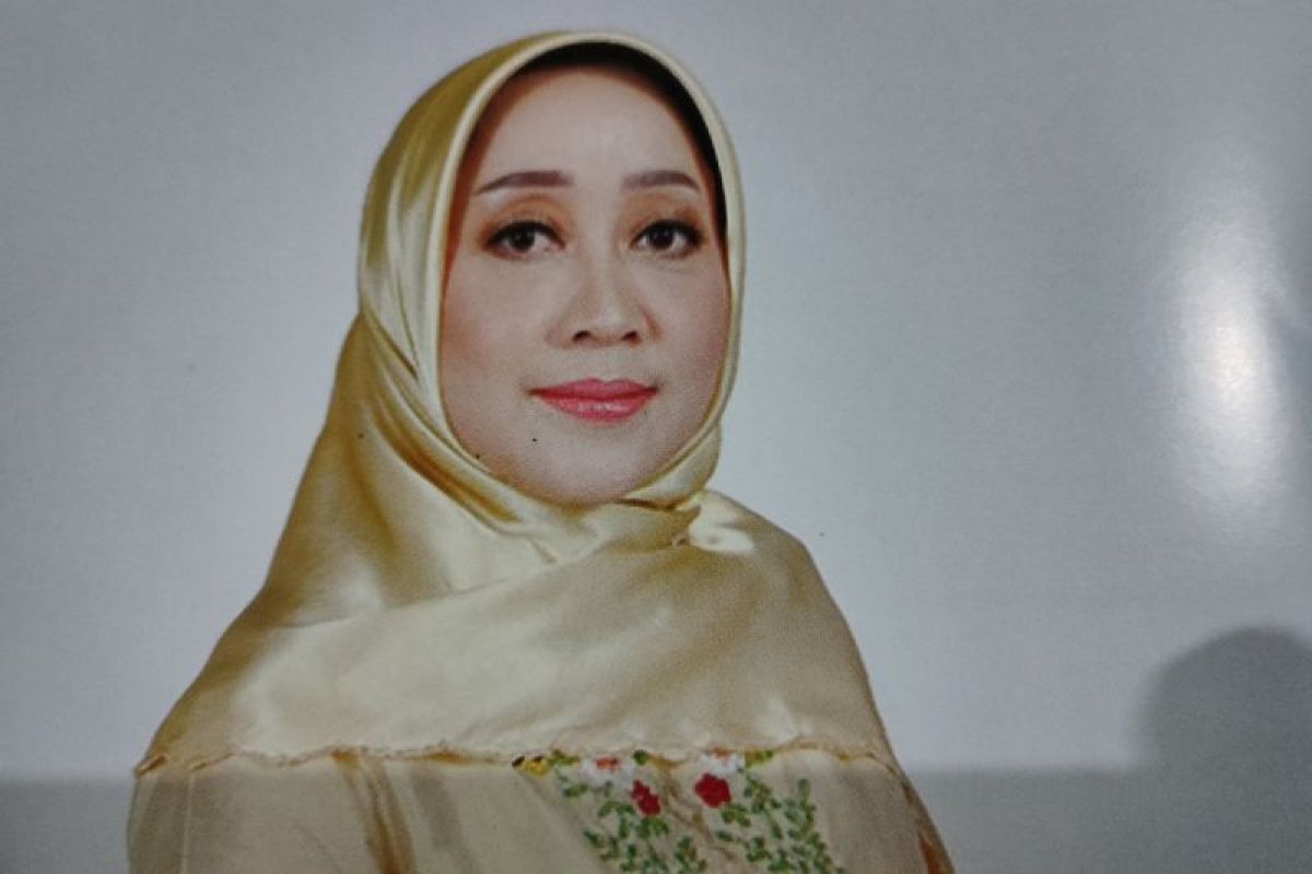 Caleg Kalsel Dewi Damayanti lapor hilang baliho ke Bawaslu