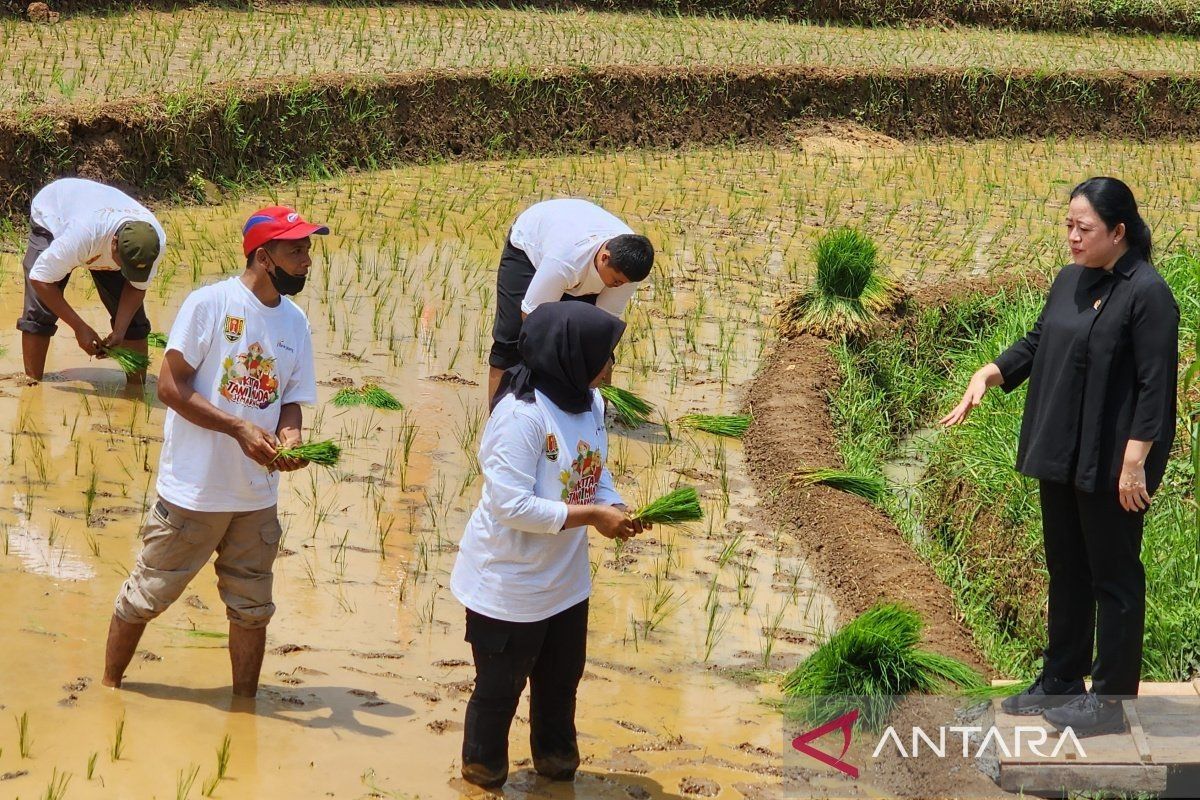 Ketua DPR RI Puan Maharani berharap produksi pertanian melimpah dan petani sejahtera