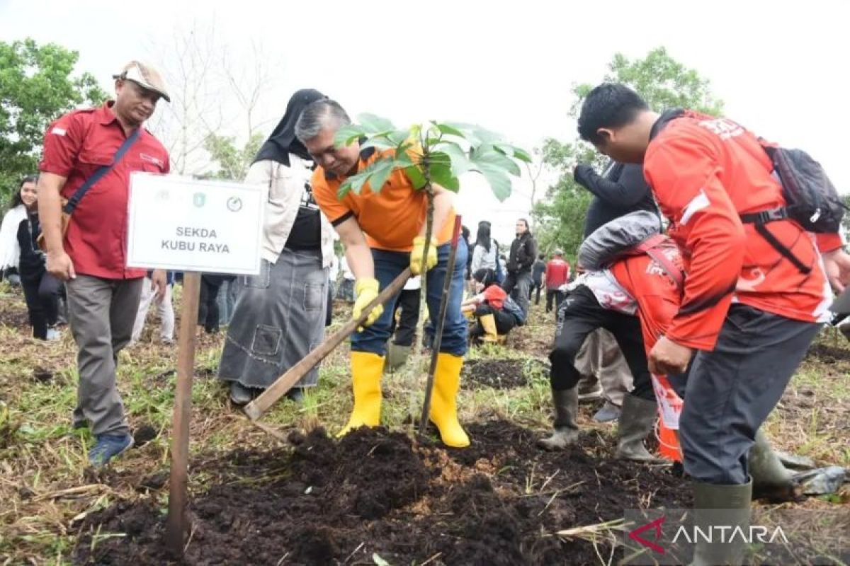 Pemprov Kalbar gelar tanam pohon serentak di Kuala Dua