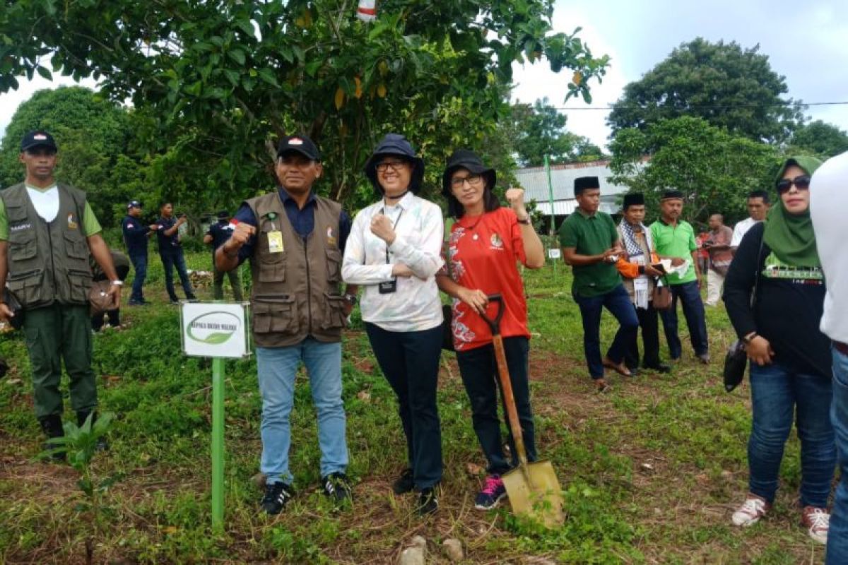 BPDAS Ambon tanam  200 bibit pohon upaya mitigasi perubahan iklim