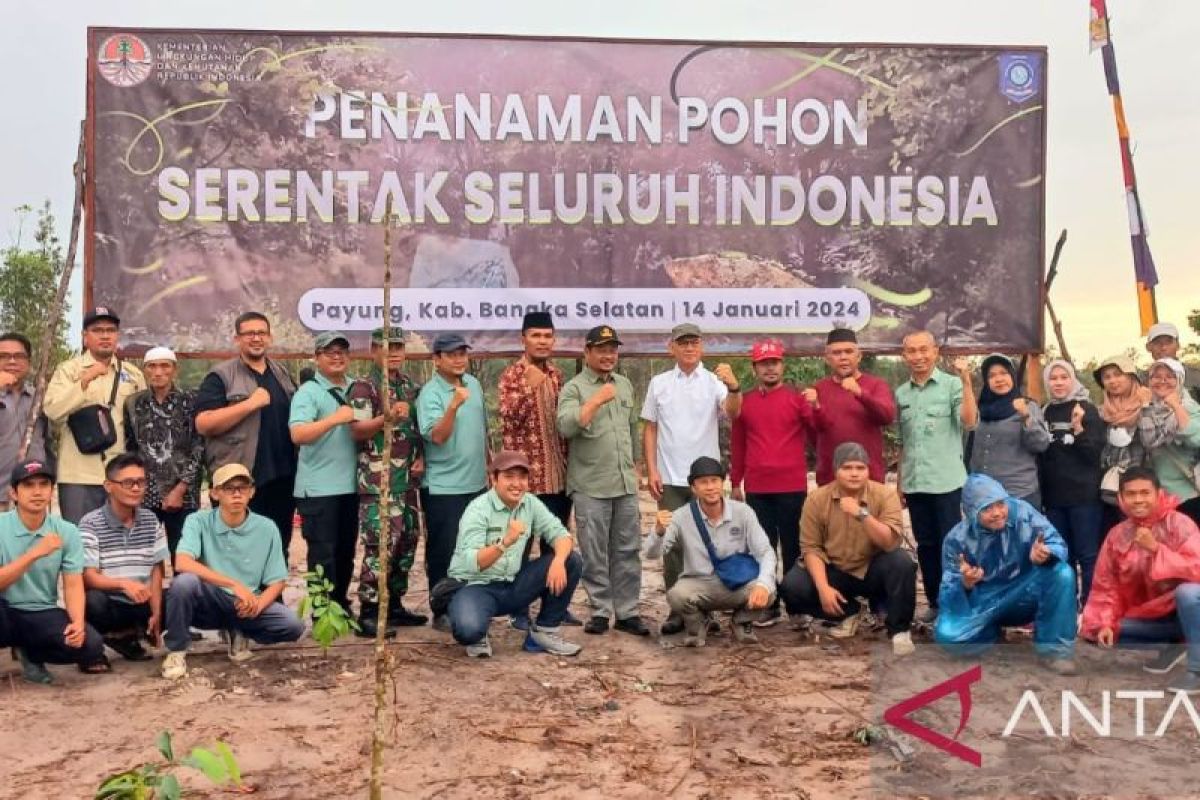 Tanam pohon dan rehabilitasi mangrove, KLHK RI antisipasi krisis perubahan iklim