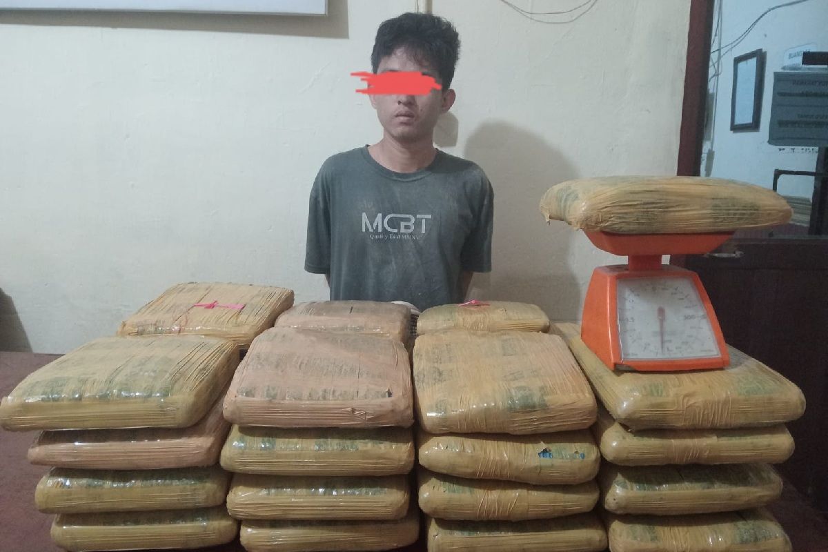 Polisi tangkap kurir 35 kilogram ganja di Padangsidimpuan