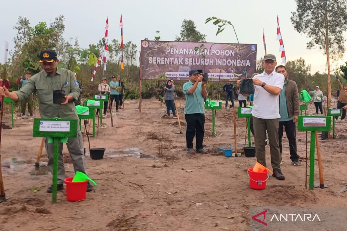 KLHK gencarkan aksi tanam pohon dan mangrove antisipasi krisis iklim