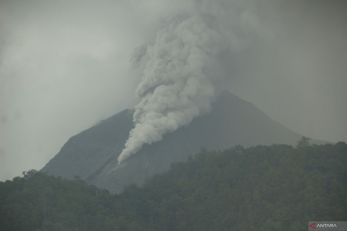 Dalam enam jam Gunung Lewotobi erupsi 12 kali