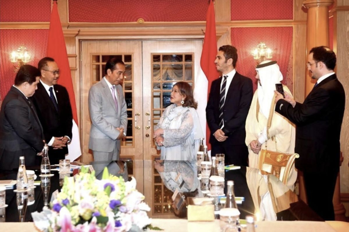 Presiden Jokowi paparkan peluang investasi IKN kepada pengusaha Brunei