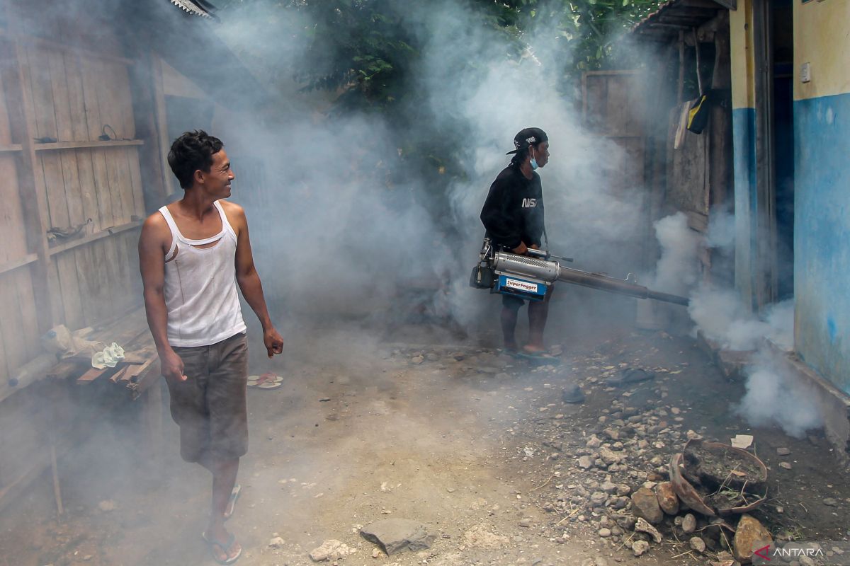 Upaya pencegahan wabah DBD oleh Karang Taruna