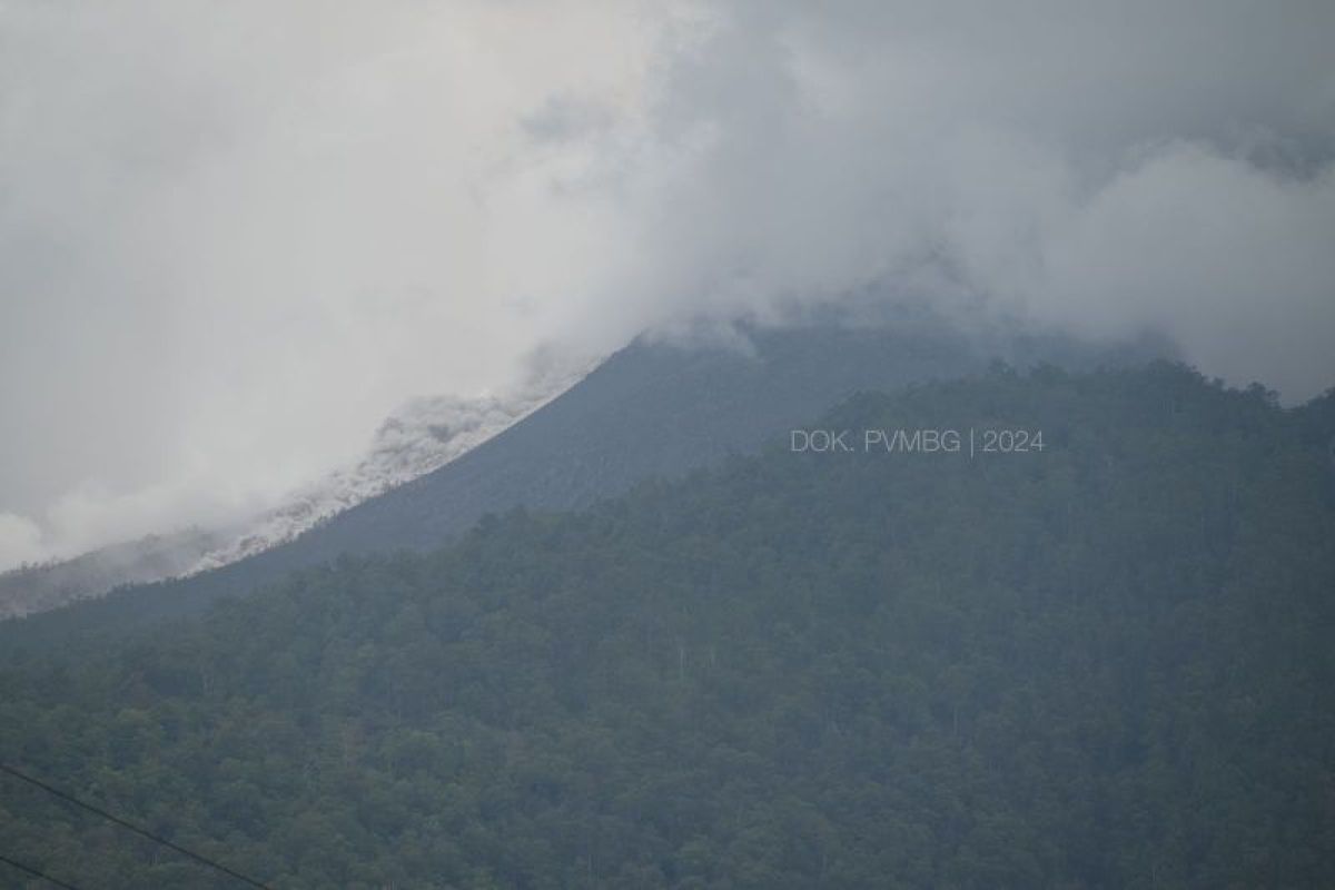 Gunung Lewotobi Laki-laki luncurkan awan panas sejauh 1.500 meter