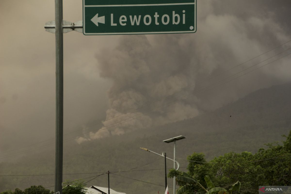 Dampak erupsi Gunung Lewotobi, Bandara Wunopito ditutup