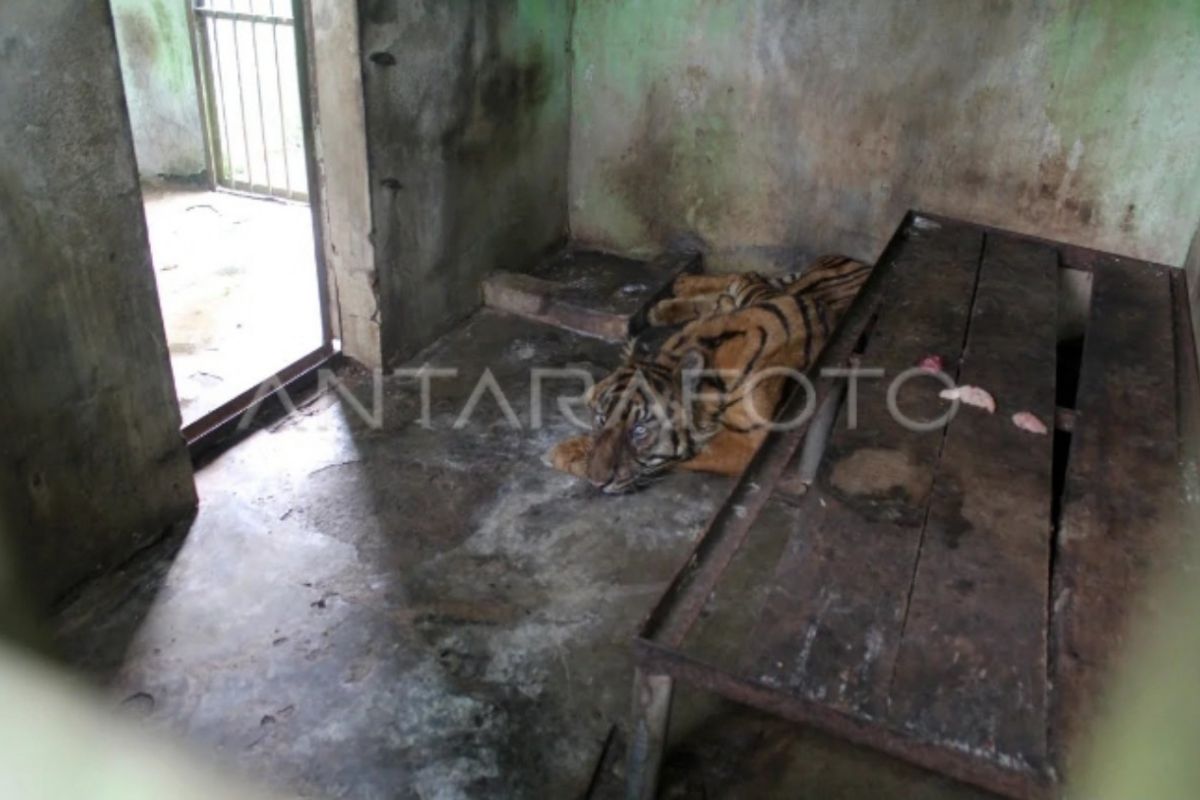 Legislator tegaskan  penutupan Medan Zoo bukan pilihan yang layak