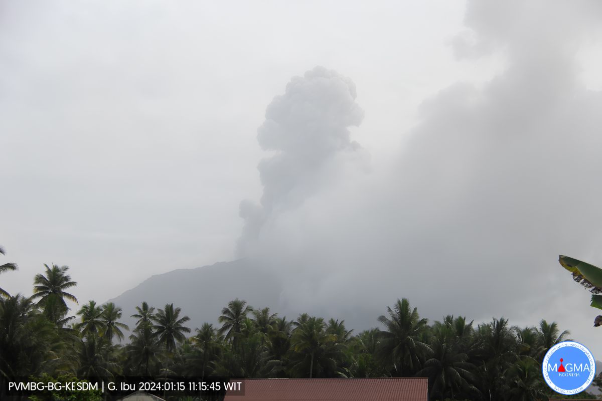 Gunung Ibu di Maluku Utara erupsi dan lontarkan abu setinggi 1.000 meter