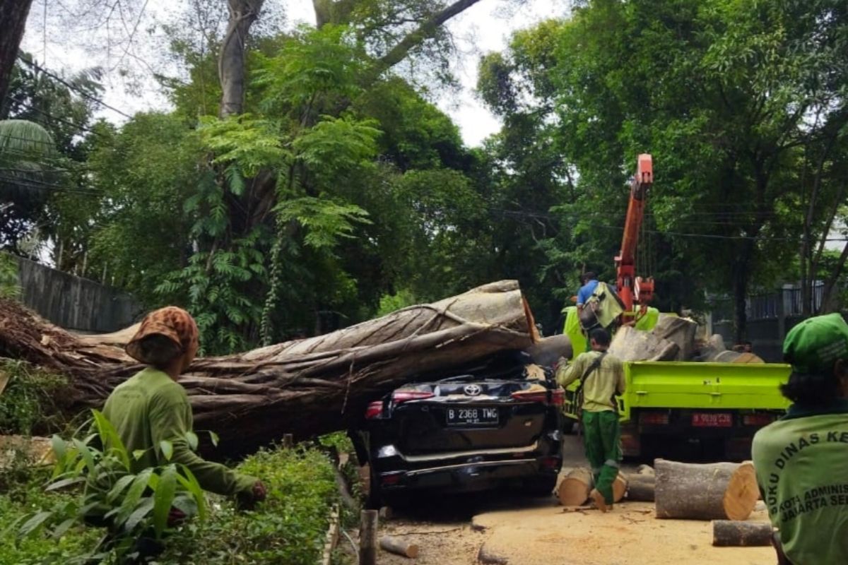 Sebuah mobil Mabes Polri tertimpa pohon tumbang di depan rumah Prabowo