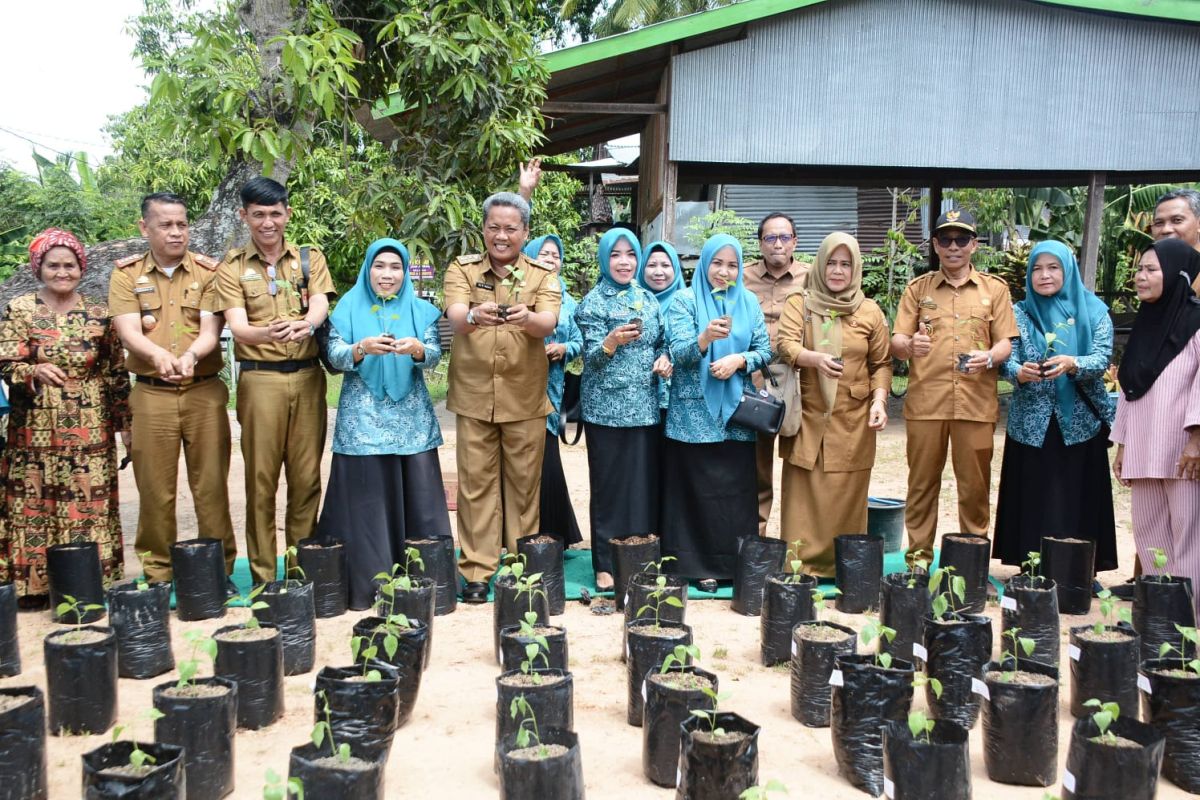 TP PKK Sidrap lakukan Gerakan Tanam Cabai tekan inflasi