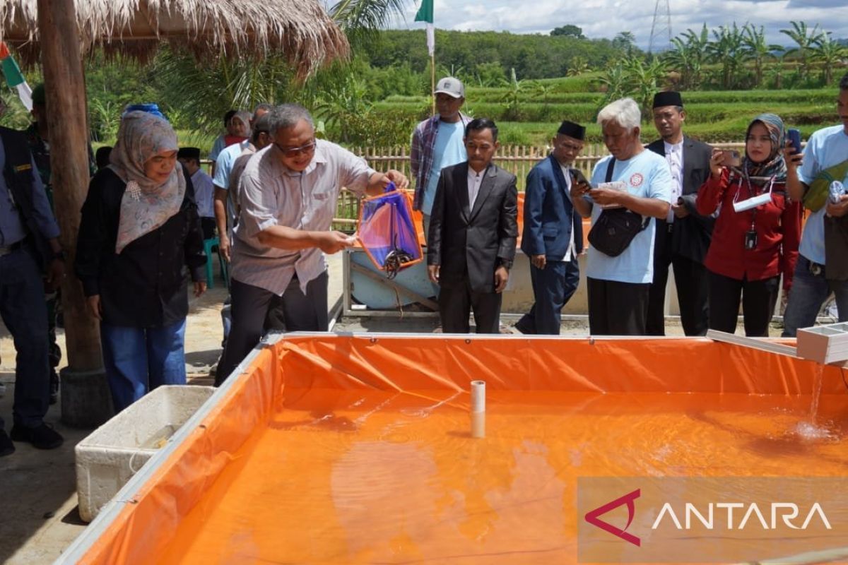 Pemkab Sukabumi jadikan ponpes sebagai role model budi daya sidat