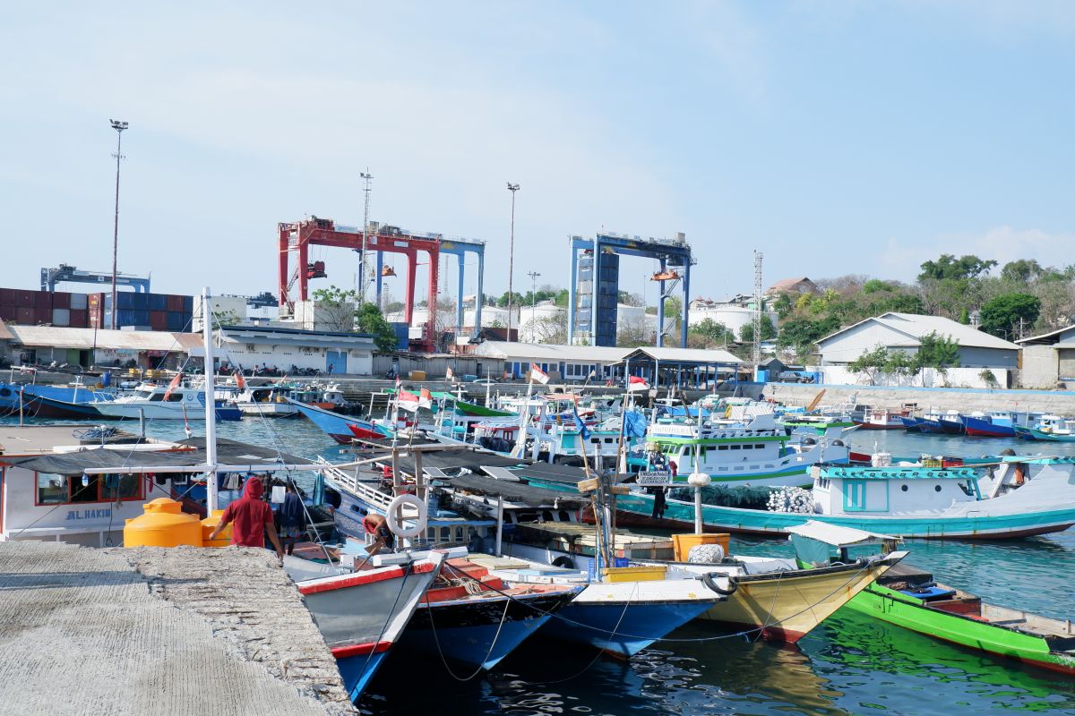 BMKG ingatkan masyarakat NTT waspada keselamatan pelayaran