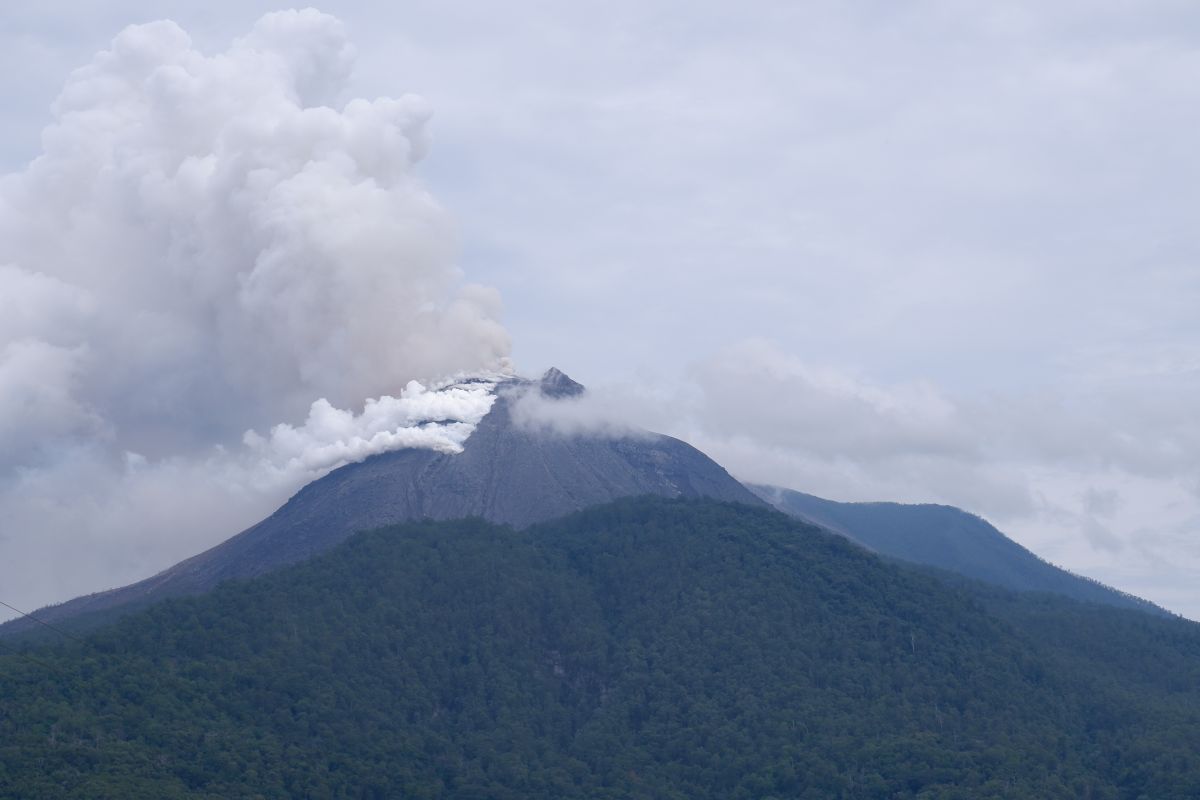 PVMBG minta masyarakat di setempat jauhi Gunung Lewotobi