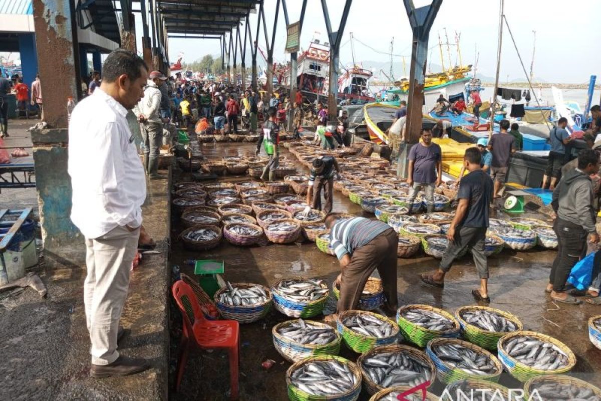 Stabilkan harga ikan, Pemerintah Aceh optimalkan pengelolaan gudang pendingin