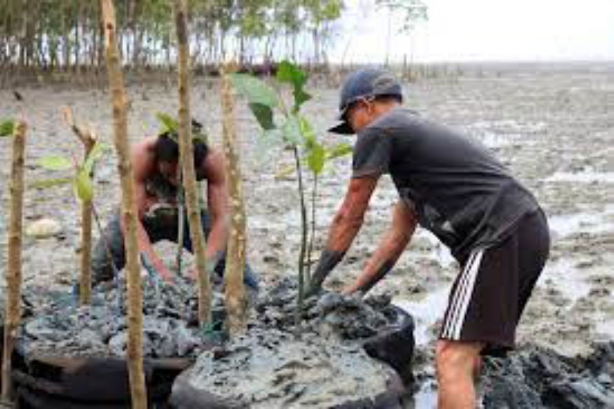 Inalum revitalisasi Pantai Sejarah di Kabupaten Batu Bara Sumut